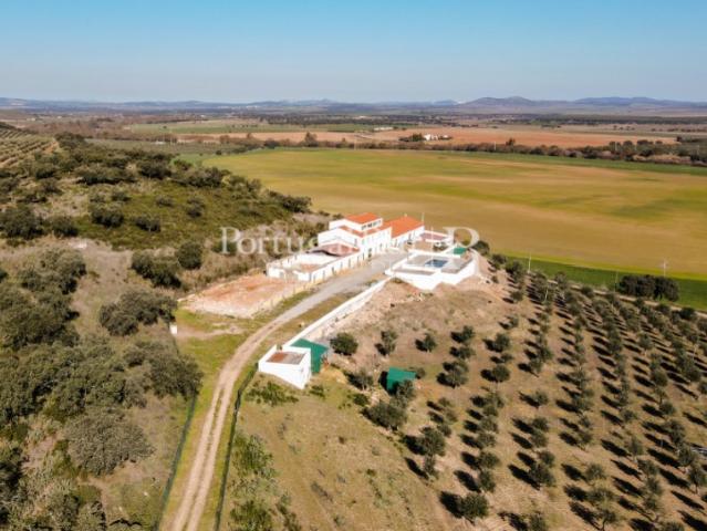 Quinta venda em Campo Maior, Portalegre