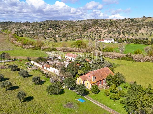 Quinta venda em Torres Novas, Santarém