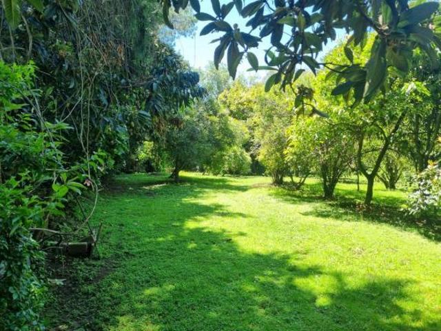 Quinta en venta en Tepetlixpa