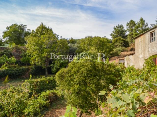 Quinta venda em Castelo Branco, Canhoso