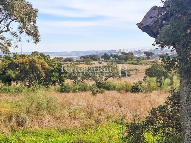 Quinta venda em São Pedro Terena, Évora