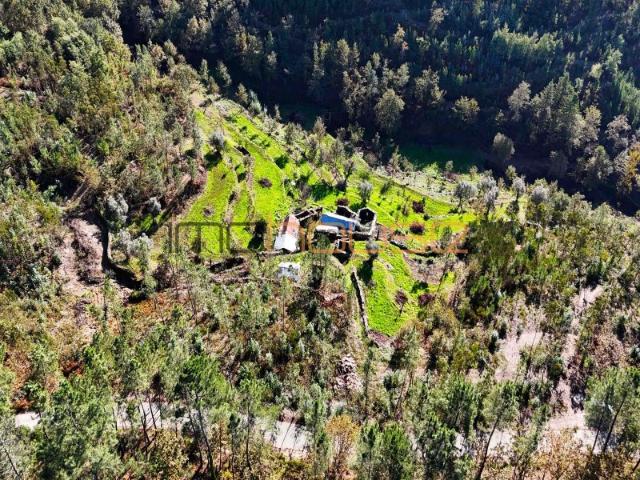 Quinta venda em Arouca, Tropeço