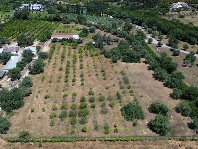 Quinta venda em Tavira, Faro