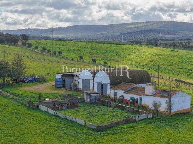 Quinta venda em Sousel, Portalegre