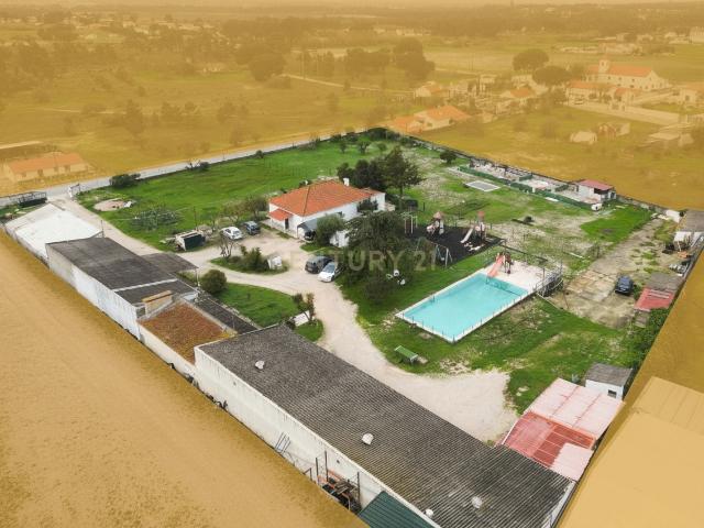 Quinta venda em Palmela, Setúbal