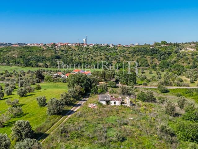 Quinta venda em Torres Novas, Santarém