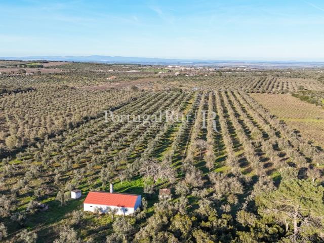 Quinta venda em Estremoz, Évora