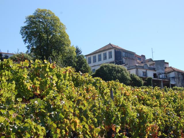 Quinta venda em Aldeias, Viseu