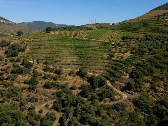 Vivenda venda em Viseu
