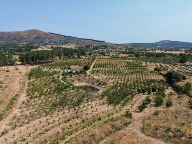 Quinta venda em Castelo Branco, Aldeia Nova Do Cabo