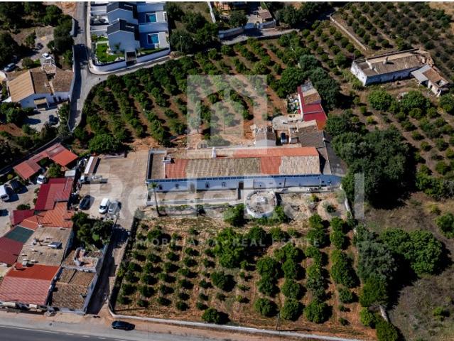 Quinta venda em Marcos Mendes, Loulé