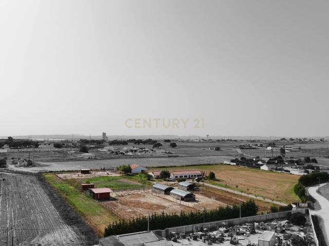 Quinta venda em Jardia, Montijo