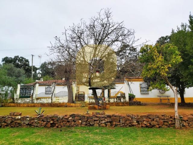 Quinta venda em Elvas, Portalegre