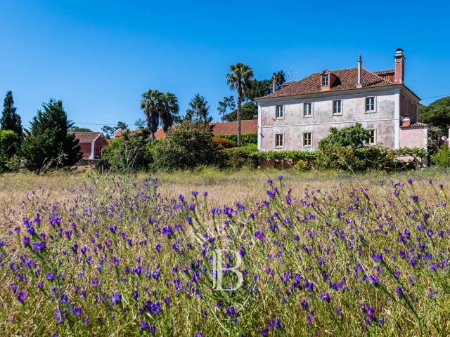 Quinta venda em Selão, Sintra