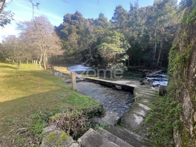 Quinta venda em Viana Do Castelo