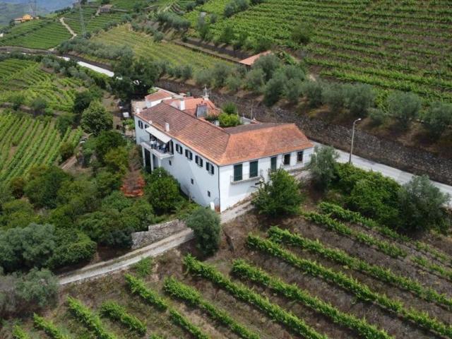 Quinta venda em Quintião, Lamego
