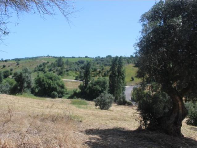 Casa venda em Torres Novas, Santarém