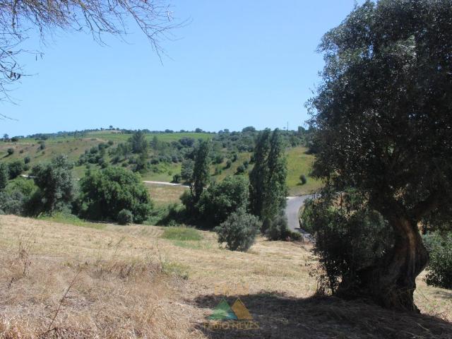 Vivenda venda em Torres Novas, Santarém