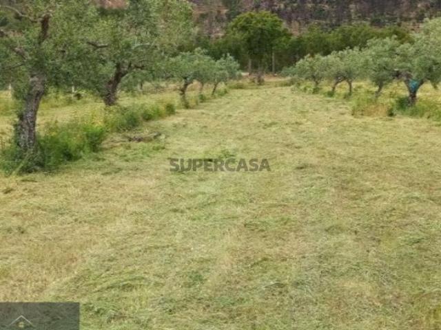 Casa venda em Castelo Branco