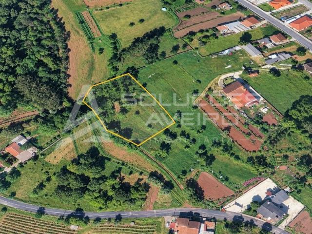 Terreno venda em Quinta do Morangal, Águeda