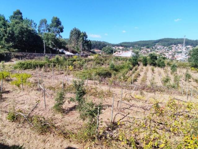 Quinta venda em Esposende, Braga