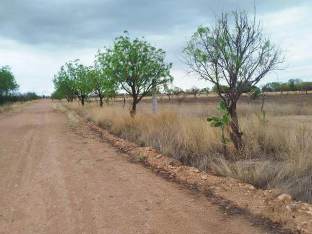 Terreno en venta en El Llano, Aguascalientes