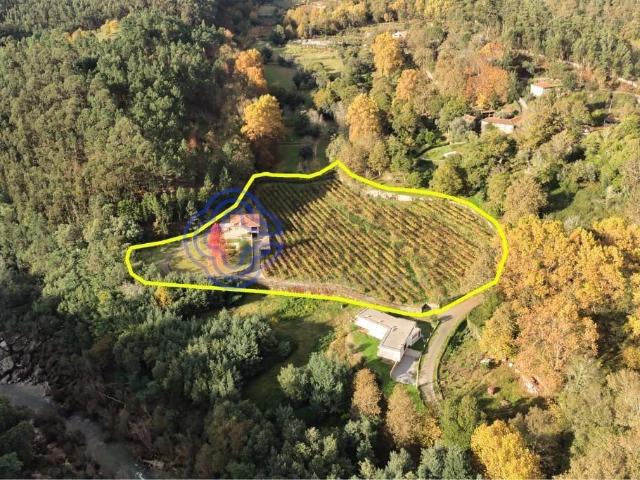 Vivenda venda em Bouro (Santa Maria), Amares