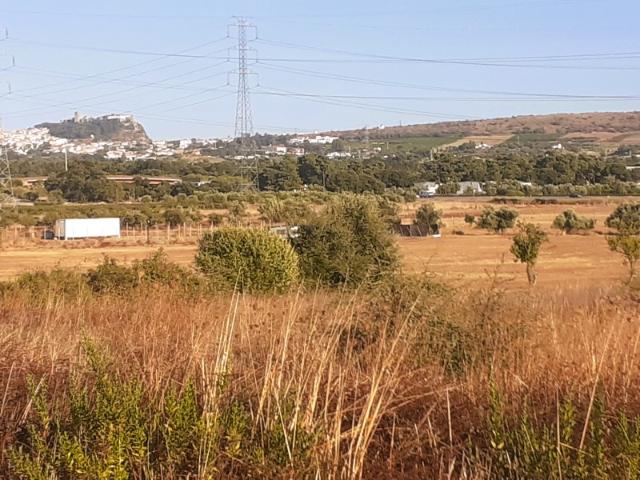Quinta venda em Palmela, Setúbal
