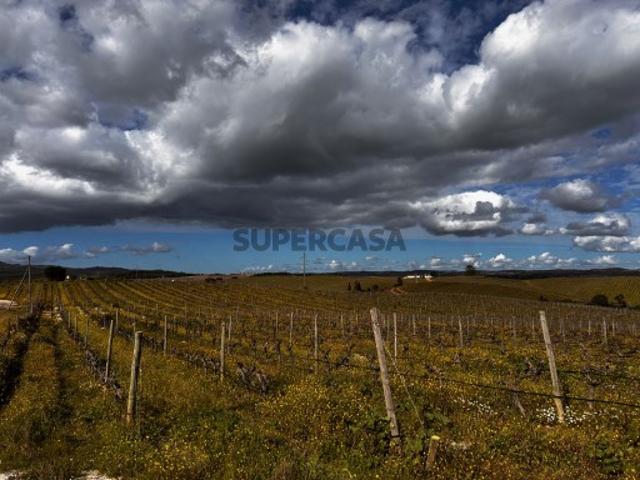 Terreno venda em Alandroal, Terena (São Pedro)