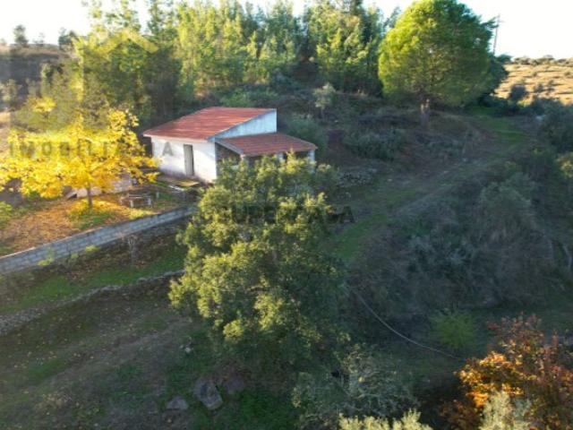 Casa venda em Castelo Branco