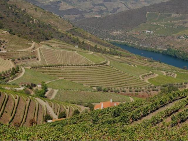 Quinta venda em Nagoselo Do Douro, Viseu