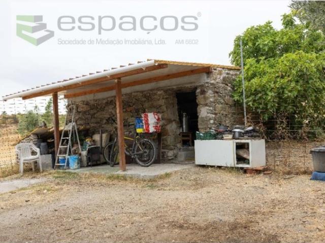 Quinta venda em Castelo Branco