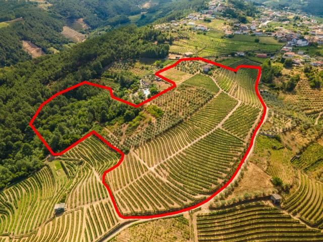 Quinta venda em Vila Real