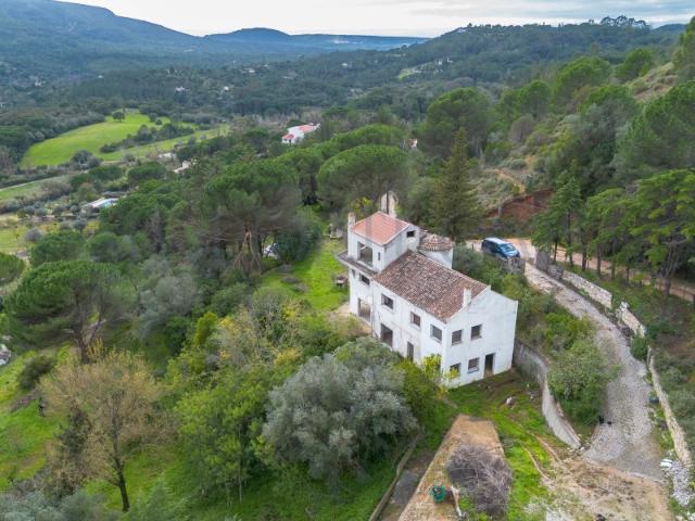 Quinta venda em Azeitão (São Lourenço e São Simão), Setúbal