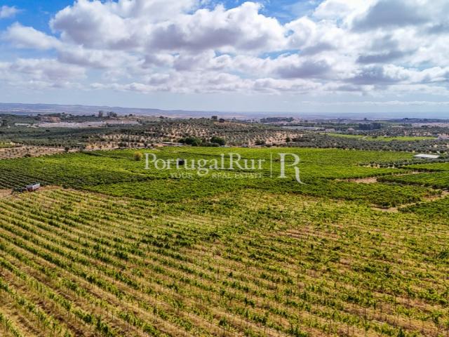 Quinta venda em Vila Viçosa, Évora