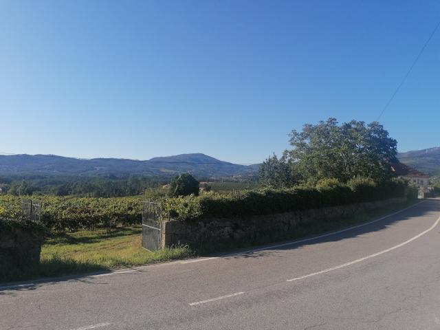 Quinta venda em Monção, Viana Do Castelo