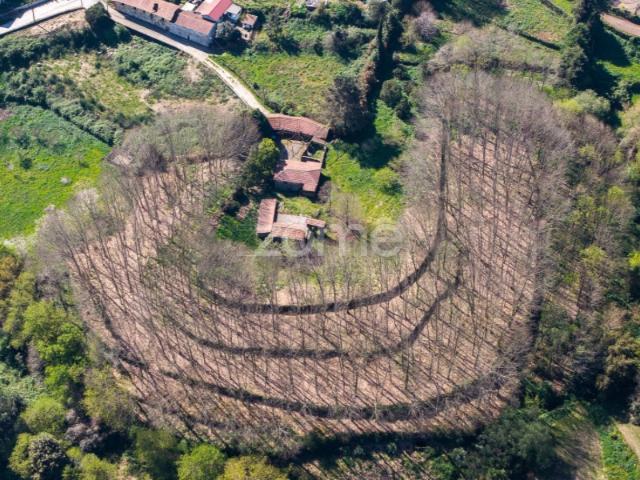 Quinta venda em Bitarães, Porto