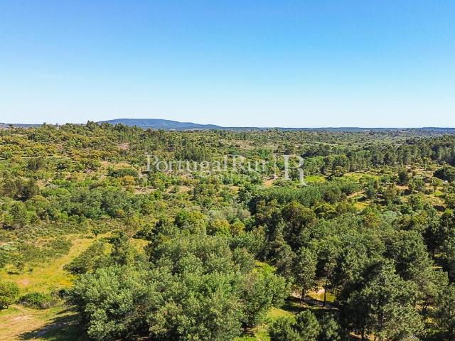 Vivenda venda em Castelo Branco, Idanha-a-nova
