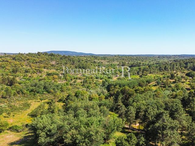 Quinta venda em Castelo Branco, Idanha-a-nova