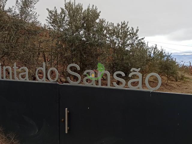 Terreno venda em Nagoselo Do Douro, Viseu