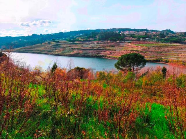 Quinta venda em Favões, São Lourenço Do Douro