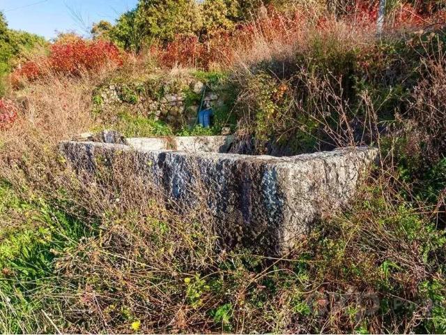 Terreno venda em Baião, Porto