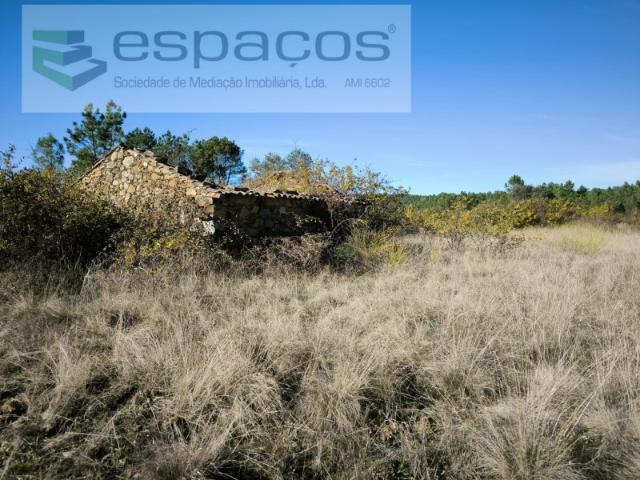 Quinta venda em Castelo Branco