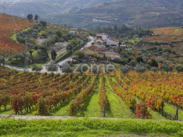 Quinta venda em Peso Da Régua, Vila Real