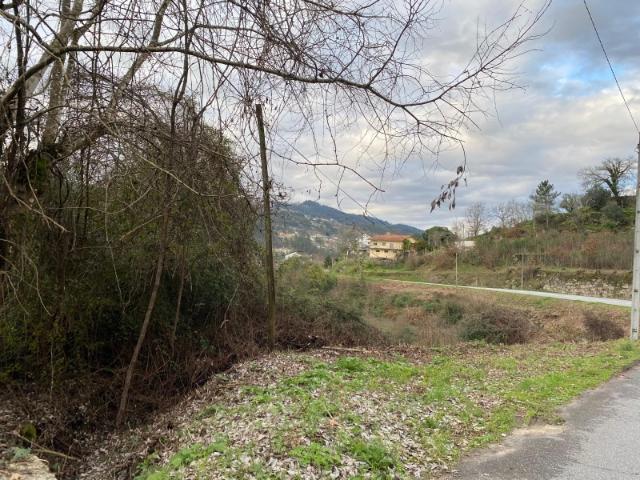 Terreno venda em Folhada, Várzea Ovelha E Aliviada