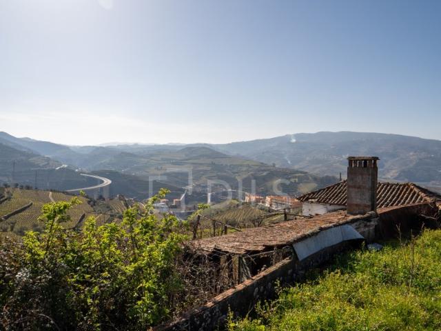 Quinta venda em Peso Da Régua, Vila Real