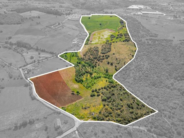 Quinta venda em Bragança