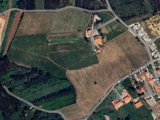 Terreno venda em Pederneira, Valado Dos Frades