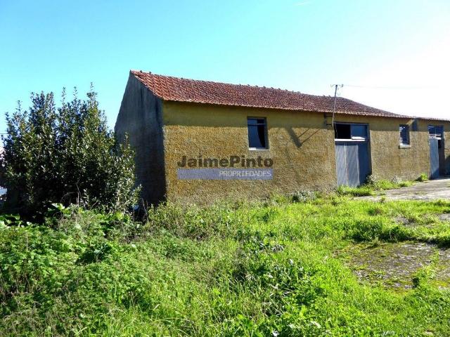 Quinta venda em Figueira Da Foz, Coimbra