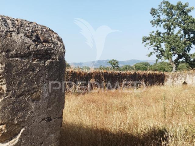 Quinta venda em Portalegre, Alagoa